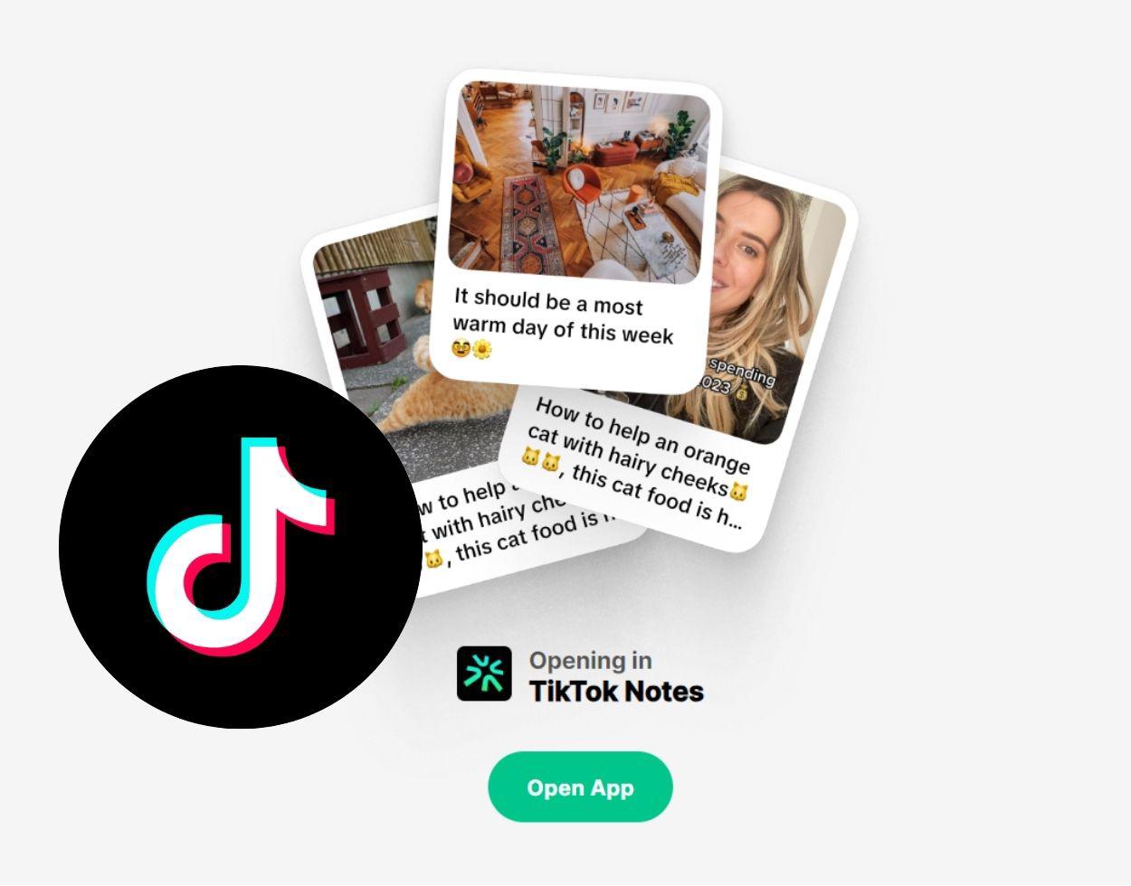 ‘TikTok Notes’, la nueva aplicación de la plataforma de videos cortos que competirá con Instagram. Noticias en tiempo real