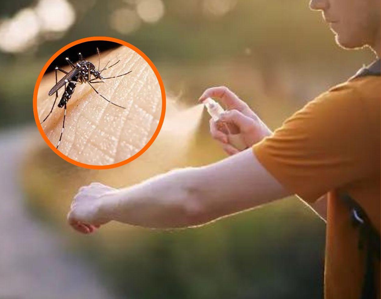 Suman 32 muertes por dengue en Morelos. Noticias en tiempo real
