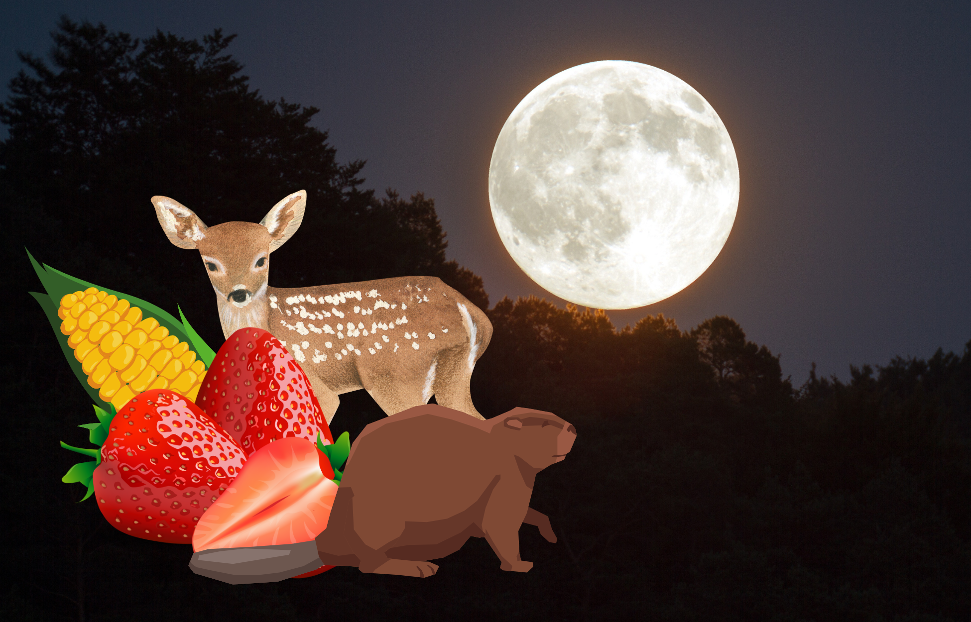 Luna de flor, de fresa, de ciervo...¿Cuándo serán todas las lunas llenas del año?. Noticias en tiempo real
