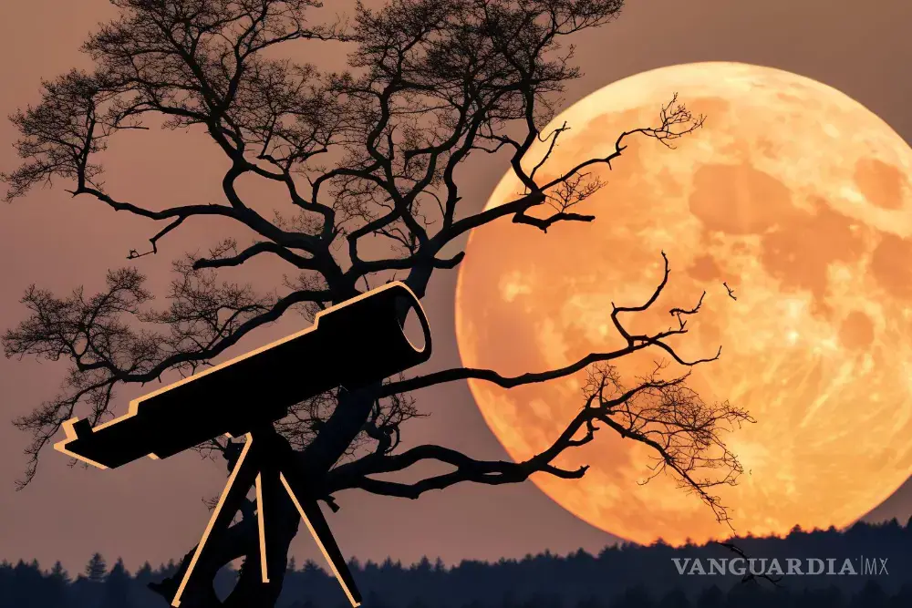  La última Superluna del 2025 iluminará el cielo este día de diciembre: National Geographic . Noticias en tiempo real