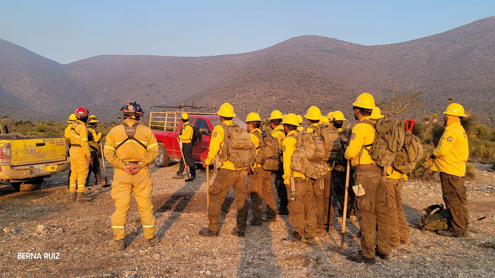 Van 220 hectáreas afectadas en Nuevo León por incendio originado en San Luis Potosí. Noticias en tiempo real