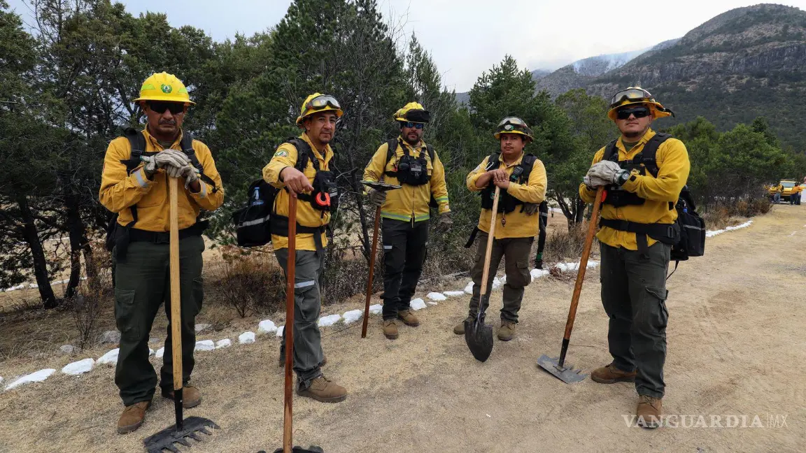 Alerta incendio forestal en Múzquiz; autoridades mantienen vigilancia. Noticias en tiempo real