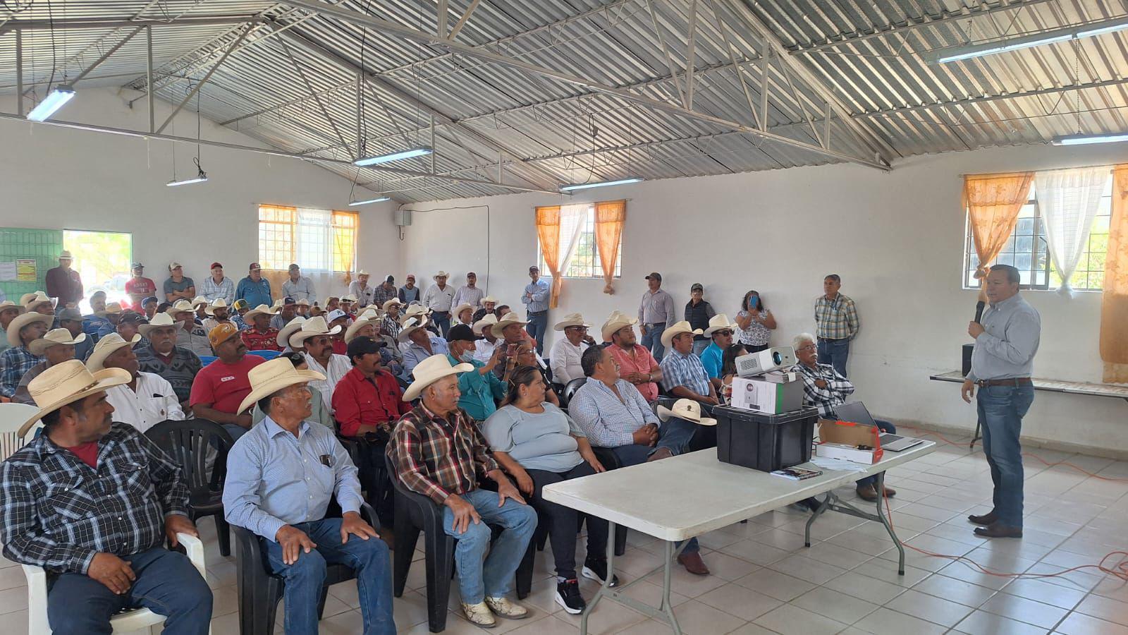 Refuerzan vigilancia contra gusano barrenador en ganado de Coahuila