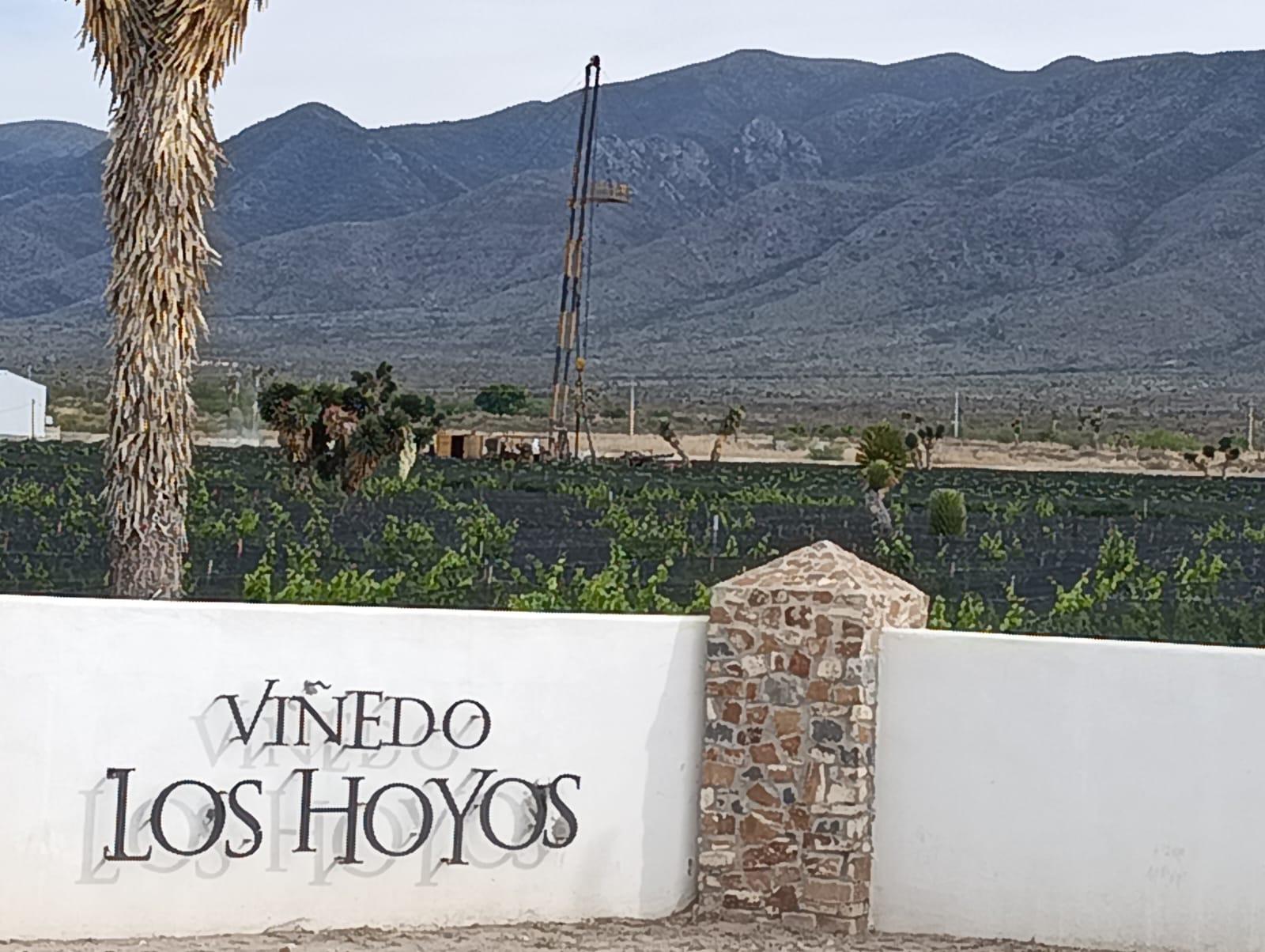 En el predio Viñedos Los Hoyos fue observada infraestructura hidráulica que transporta agua a lo largo de más de 20 kilómetros hacia instalaciones privadas, situación que ha generado cuestionamientos entre vecinos y organizaciones civiles.