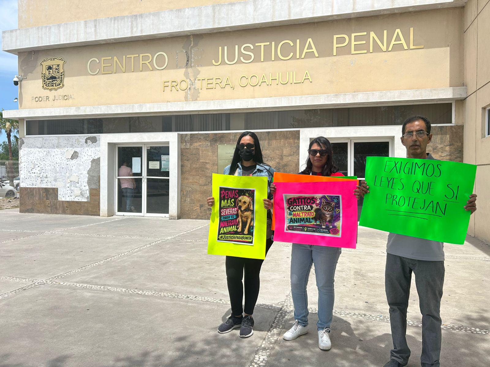 Rescatistas exigen justicia para ‘Bonita’, perrita presuntamente abusada en Monclova
