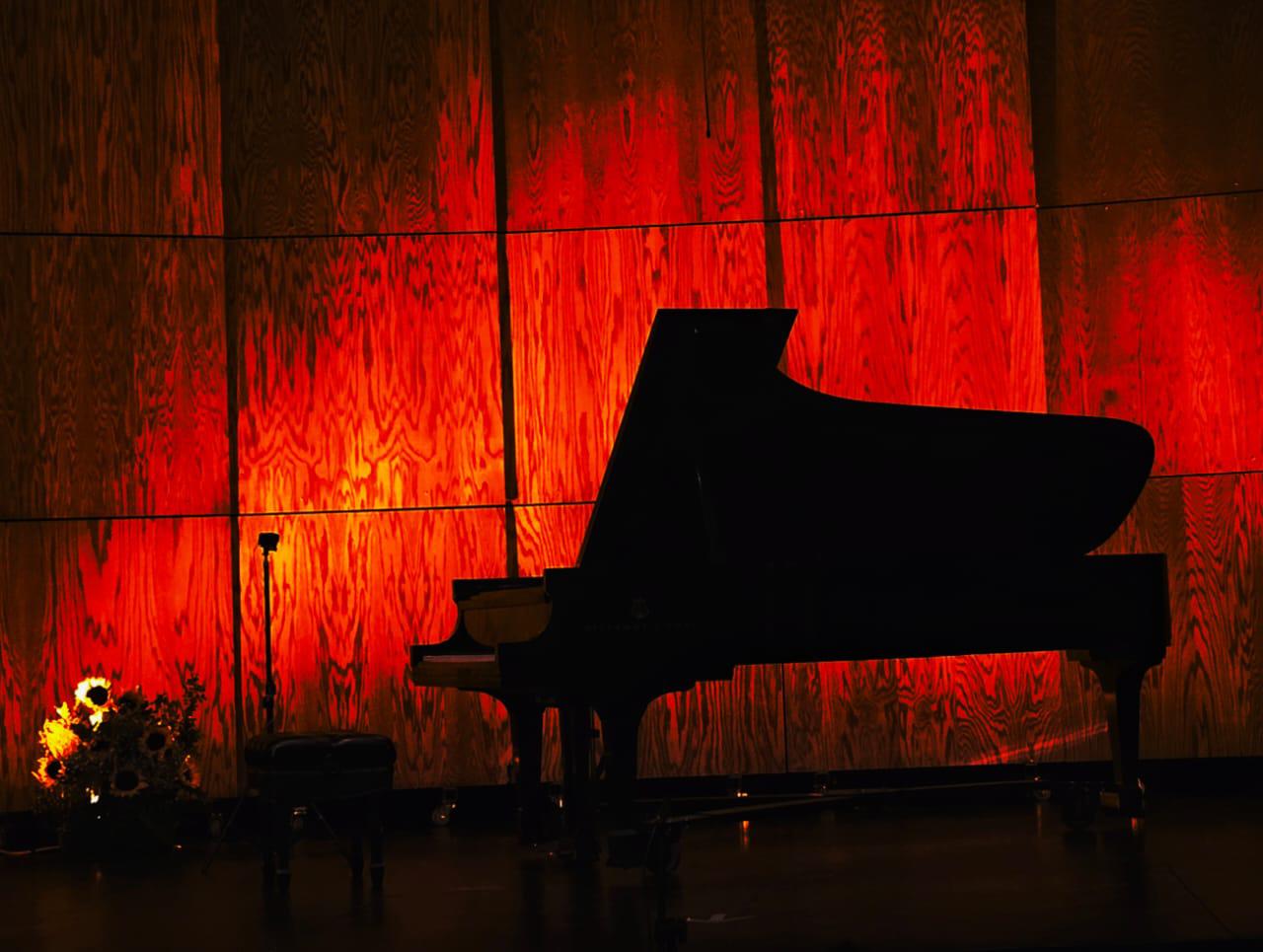 Reencuentro o la pasión por el piano