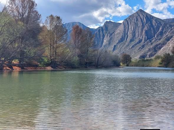 Ecologistas en La Laguna señalan peligros ambientales y lega